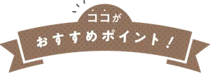 ココがおすすめポイント！